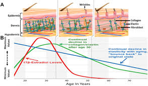 Image result for Tissue-selective Estrogen Complex