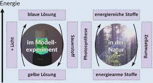 Check spelling or type a new query. Qr 7 19 Materialienpaket Zum Themenfeld Lichtlabor Pflanze Chemie Mit Licht University Of Wuppertal
