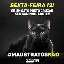Sexta Feira 13 Se Um Gato Preto Cruzar Seu Caminho Adote Rafael Nemitz