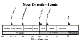 Mass Extinction Events