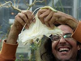 The Northern California Branch of the MGS