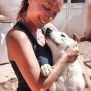 See more of cani di razza in adozione on facebook. Adottamisubito Adottamisubito Profilo Pinterest