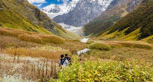 Valley of flowers is a unesco world heritage site and is a protected area. Valley Of Flowers And Hemkund Trek 2020 Rs 6250 Only Banbanjara