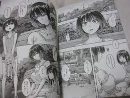 USED Henshin Shindo L Japanese Manga WANIMAGAZINE COMICS 