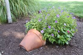 Set the container down on its side. Beautiful Diy Spilled Flowerpots Decoration 33 Ideas That Will Enhance Any Garden My Desired Home