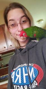 Introduction and photo of clifford