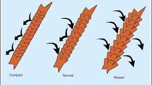 5 Ways To Tell If Your Hair Is Damaged Risasrizos