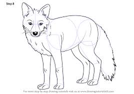 Let's draw the appropriate lines for the fox's tail and paws. Learn How To Draw A Fox Zoo Animals Step By Step Drawing Tutorials