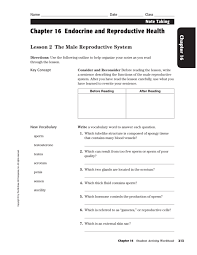 Chapter 16 Endocrine And Reproductive Health