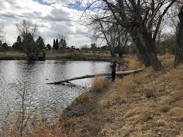 Maybe you would like to learn more about one of these? So You Want To Go Fishing Arapahoe Libraries