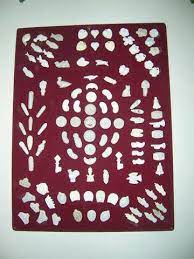 Maybe you would like to learn more about one of these? Petit Cours Rapide Sur Les Feves