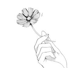 Hand holding flower drawing reference. Hand Holding Flower Drawing Reference Novocom Top