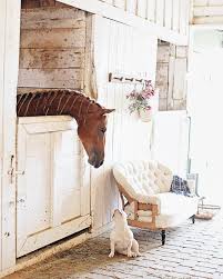 Serra Caglayan Adli Kullanicinin Animal Pictures Panosundaki Pin Hayvanlar