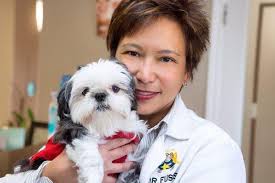 My Milpitas Dentist, 151 S Main St, Milpitas, CA 95035, US