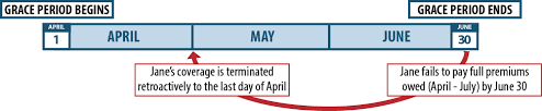 Key Facts Premium Payments And Grace Periods Beyond The Basics