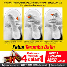 So terhasil lah video ini. Gambir Emas Malaysia