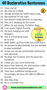 40 Example Of Declarative Sentence Definition And Example Sentences Example Sentences In 2020 Declarative Sentences Sentence Examples Sentences