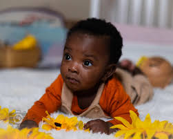 D. Hinton Photography