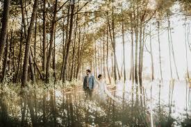 Este bosque se ubica en el predio denominado la draga el cual ocupa una superficie de 270 hectáreas. Fotografo De Bodas En Mazamitla Jalisco Pueblo Magico