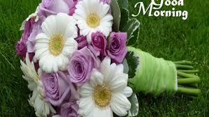 High quality good morning flowers hd wallpaper. Images Of Morning Flowers Top Collection Of Different Types Of Flowers In The Images Hd