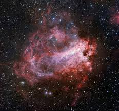 Image result for Searsia nebulosa