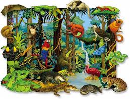 South america's amazon is the world's largest rainforest. Rainforest Animal Tea Towel South American Rainforest Animals Kitchen Dining Home Living Lifepharmafze Com