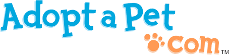 Download Adopt A Dog Or Cat Today Search For Local Pets In Need Of A Home
