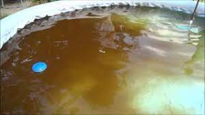 Ascorbinsäure (100 %, vitamin c). á Vitamin C Fur Den Pool Braunes Poolwasser Mit Vitamin C Behandeln