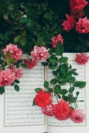 Image Uploaded By Everydaysmilee Find Images And Videos About Beautiful Flowers And Rose On We Islamic Wallpaper Beautiful Flowers Wallpapers Quran Wallpaper