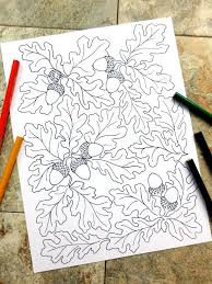 These adorable coloring pages are sure to do the trick! Autumn Coloring Pages Fall Oak Leaf Acorn By Colorblinddragon Coloring Pages Thanksgiving Coloring Pages Steampunk Coloring