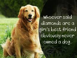 Find this pin and more on dog quotes & artwork by come wag along. Quotes About Owning A Dog 27 Quotes