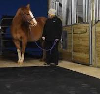 Horse Stall Mats Kit Cobblestone 3/4 Inch x 12x24 Ft.