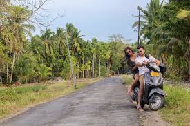 Social work, occupational therapy • 8 providers. Globetrotters Wanderers Hub The Wandering Darlings