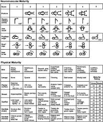 Ballard Score Nursing School Life Pediatric Nursing Anatomy And Physiology