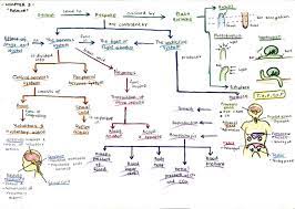 One thought on nota ringkas pendidikan islam tingkatan 4 dan 5 (tokoh). Bijak Tekun Nota Kreatif Biologi Tingkatan 5 Bab 3