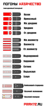 От 07.05.2020) об утверждении правил ношения форменной одежды для руководства, иных должностных лиц центрального аппарата. Specproekt Park72 Ru Uchimsya Chitat Pogony Tyumenskih Chinovnikov Kto Nastoyashij General A Kto Ryazhenyj