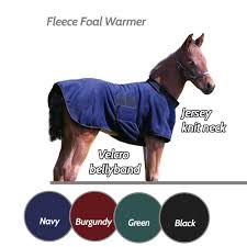Fleece Foal Warmer