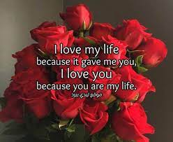 Lady bird movie reviews & metacritic score: Ù…ØµÙ†ÙˆØ¹ Ù…Ù† Ø«Ù‚Ø¨ Ø§Ù„Ø¥Ø¹ÙØ§Ø¡ Ù…Ø¹Ù†Ù‰ Ø§Ø¹Ø´Ù‚Ùƒ Ø¨Ø§Ù„Ø§Ù†Ø¬Ù„ÙŠØ²ÙŠ Comertinsaat Com