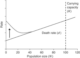 Finding the annual per capita growth rate, as opposed to only the rate for the entire time period, makes it easier to predict future population changes because it relates to both time and overall population. Allee Effect An Overview Sciencedirect Topics