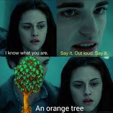 Sara Hupp's Instagram, Twitter & Facebook