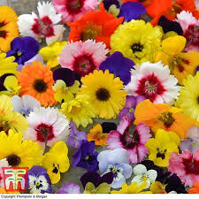 Maybe you would like to learn more about one of these? Edible Flowers Mix Thompson Morgan
