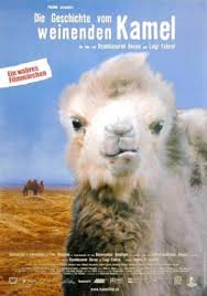 If you remember those awful disney documentaries about animals back in the day. Die Geschichte Vom Weinenden Kamel Film Docudrama Reviews Ratings Cast And Crew Rate Your Music