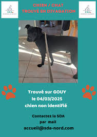 S.D.A Pension Canine