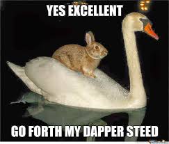 Pet rabbits, wild rabbits, rabbits in petting zoos, cuddly stuffed bunnies. Funny Bunny Memes Enchanted Little World
