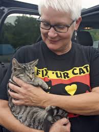 Causes for cats: Area residents, organizations reach out to help feline  friends