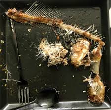 Tepung tulang banyak mengandung kalsium. Mr Azhar Andi Tahir Teacher Inspire Educate On Twitter Kahwinilah Lelaki Yang Boleh Makan Ikan Susu Banyak Tulang Ni Tanpa Tercekik Sesungguhnya Dia Adalah Seorg Yg Penyabar Sapa Setuju Rt