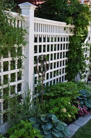 Learn how to build a fence with this collection of 30 diy cheap fence ideas. Most Recent Cost Free Garden Fence Suggestions Deterring Animals Is One Of The Best Purposes In 2021 Privacy Fence Landscaping Garden Gates And Fencing Backyard Fences
