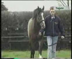 We did not find results for: Tagula Introduction Confirmation Youtube