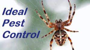 Natural & organic bath & body. Pest Control Greensboro Ideal Pest Control