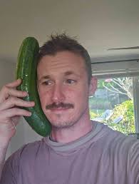 Why would only one cucumber do well and all the others didn't do anything?  I had 2 little ones. But all the other 15 or so pollinated ones have either  died off